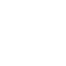 Znipe logo
